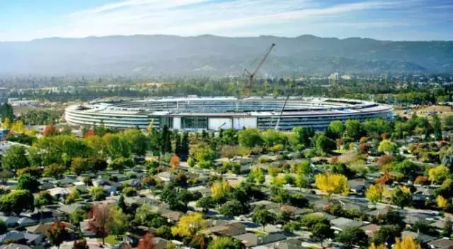 国产精品青青在线观看海报